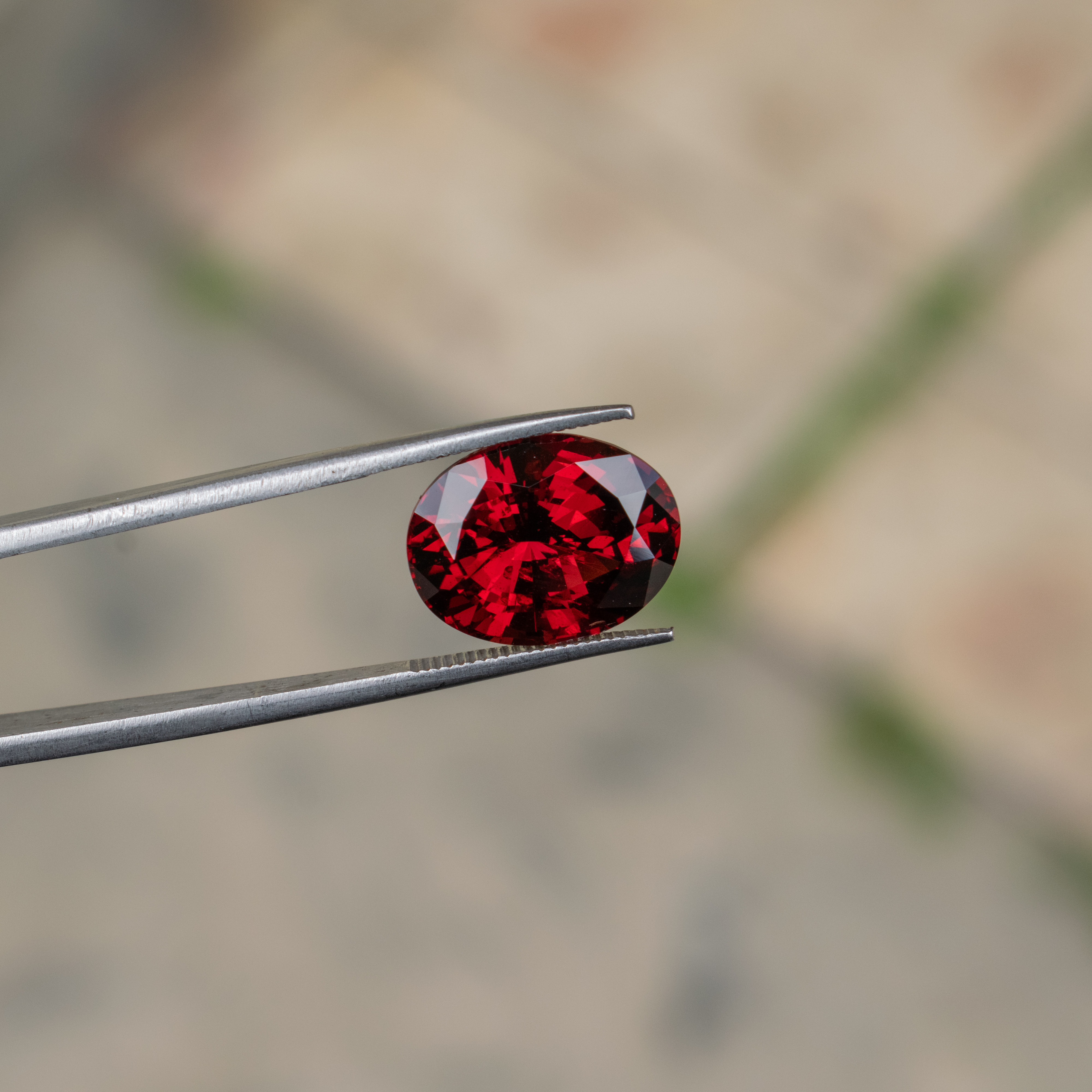 Garnet | Natural | 8.90cts